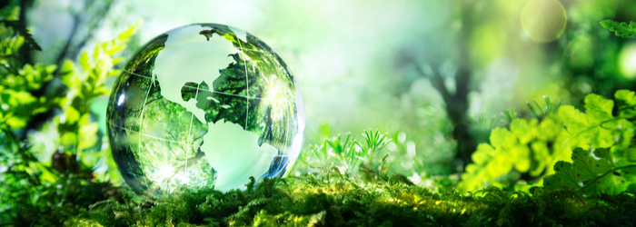 How Kyocera Products Help Create Sustainable Workplaces